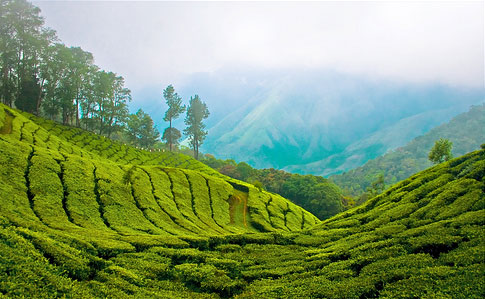 South India Honeymoon