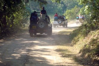 Ranthambore Short Safari Break