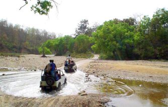 Jim Corbett Wildlife Break